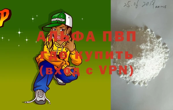 гашик Ростов