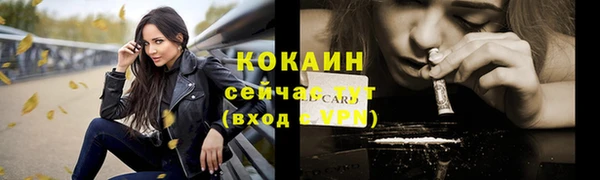 стаф Россошь