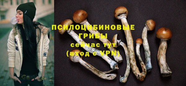 не бодяженный Абаза