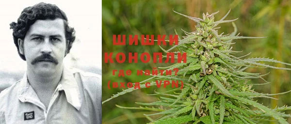 стаф Россошь