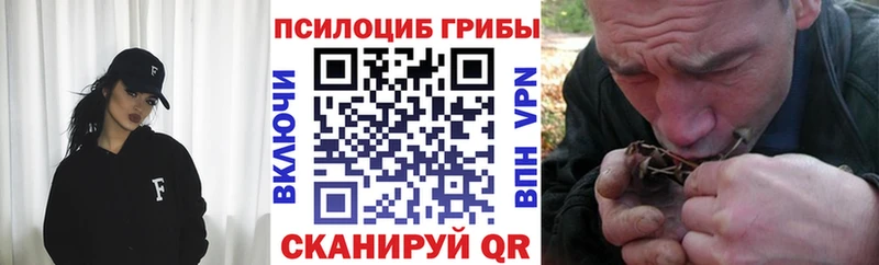это как зайти  где купить наркоту  Абдулино  Псилоцибиновые грибы мухоморы 